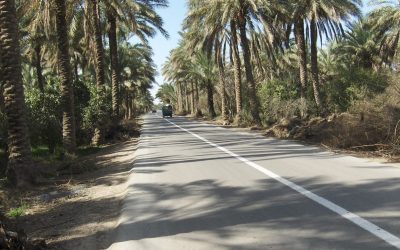 الشيخ سعيد للفاصلة : الطارمية قدمت عشرات الشهداء من أبنائها لحماية المنطقة