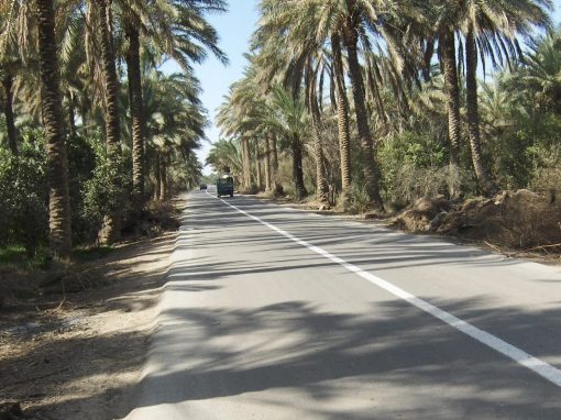 الشيخ سعيد للفاصلة : الطارمية قدمت عشرات الشهداء من أبنائها لحماية المنطقة