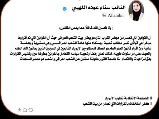 النائب اللهيبي تنتقد إيقاف قانون العفو العام