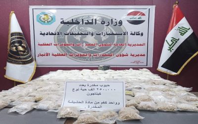 الداخلية تتوعد تجار المخدرات.. 2025 سيكون الأشد قسوة
