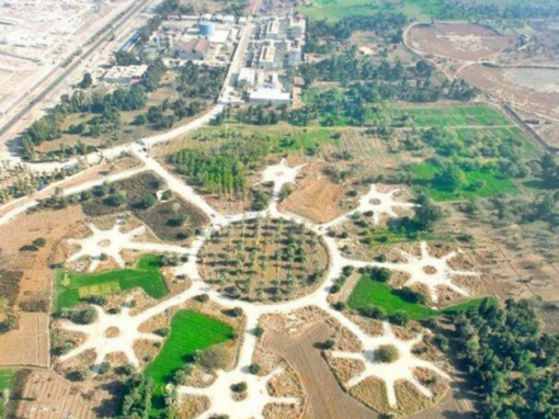 بغداد تخطو نحو المستقبل الأخضر.. انطلاق مشروع “غابات بغداد المستدامة”