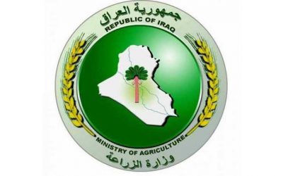 الزراعة: الحمى القلاعية لا تنتشر واللقاحات “فعّالة”