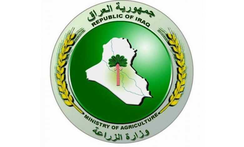 الزراعة تكمل إجراءات تحويل جنس الأراضي الزراعية الى سكنية