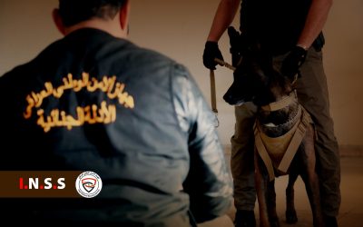 بالجرم المشهود.. القبض على شبكتين لتجارة المخدرات تنشطان في محافظتي ديالى والنجف