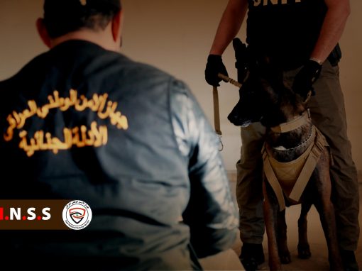 بالجرم المشهود.. القبض على شبكتين لتجارة المخدرات تنشطان في محافظتي ديالى والنجف